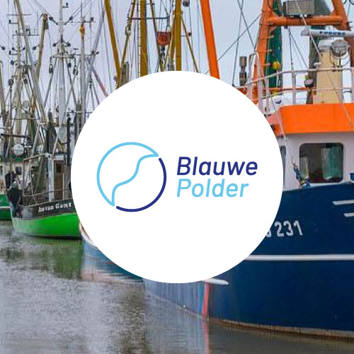 Website Blauwe Polder