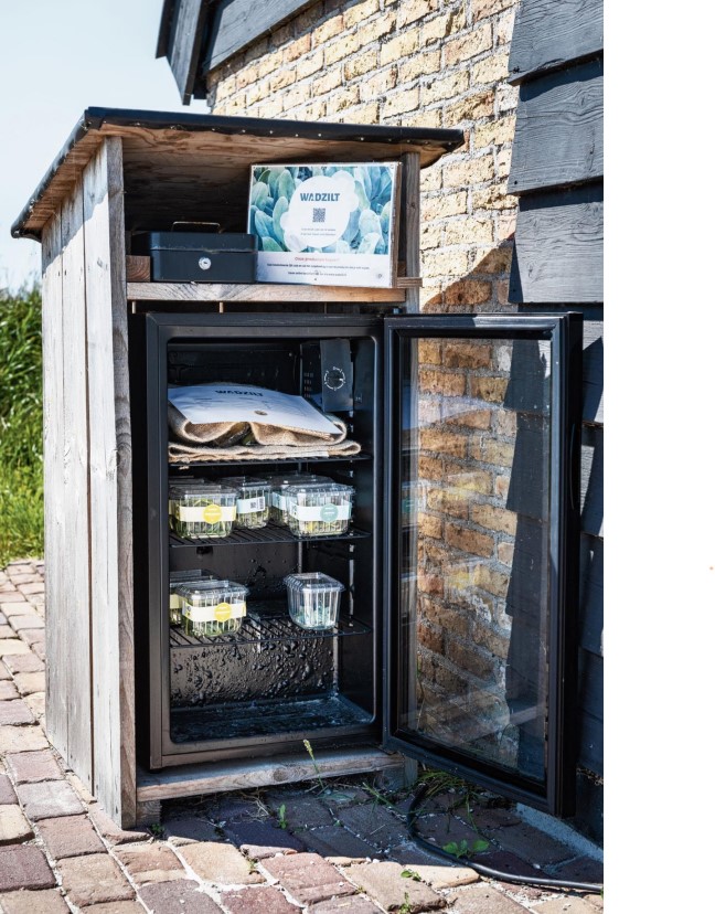 Verkoop stalletje zoute groenten
