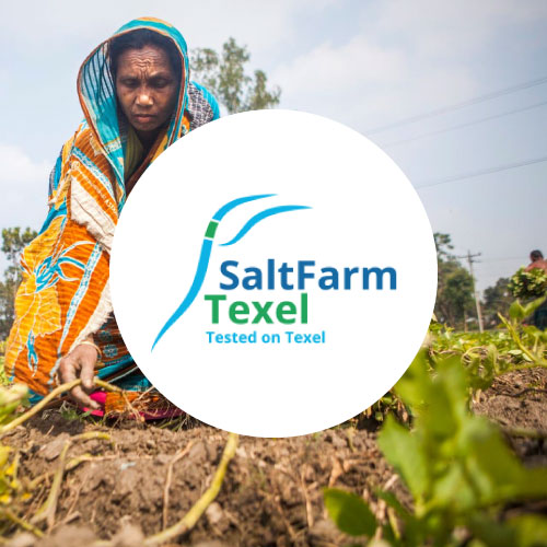 Website SaltFarm Texel