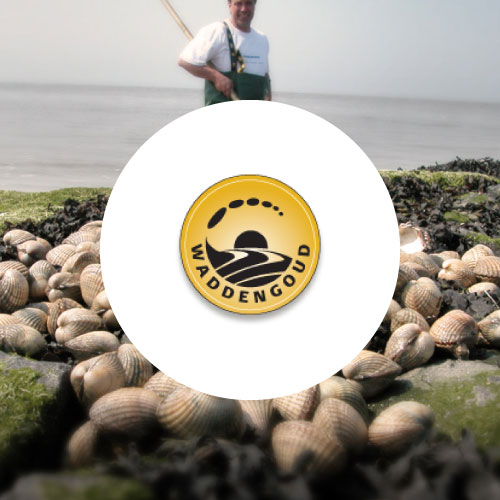 Website Waddengoud